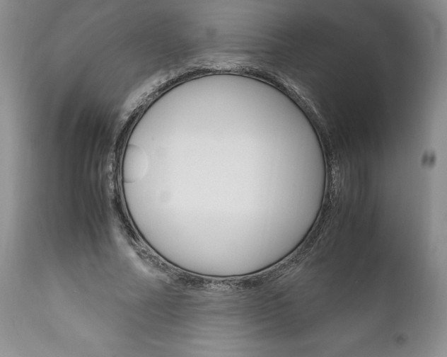 X0000111120682200906301042