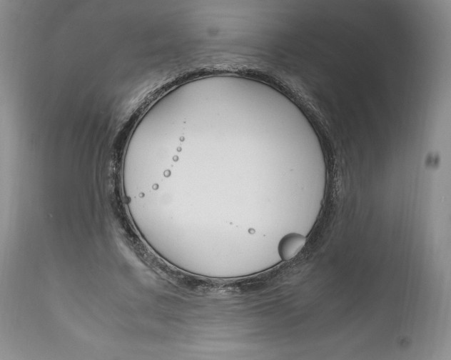 X0000111120683200906301042