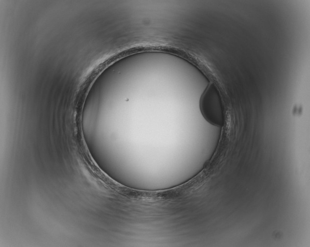 X0000111120684200906301042