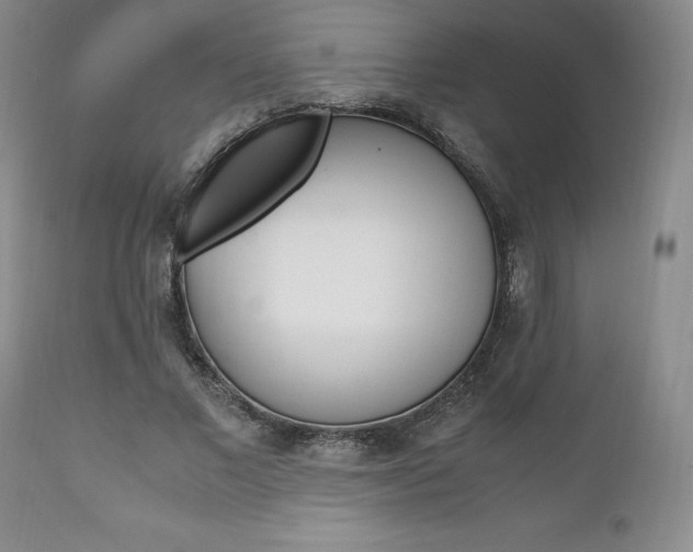 X0000111120685200906301042