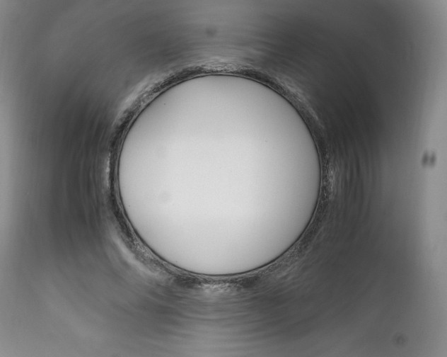X0000111120686200906301042