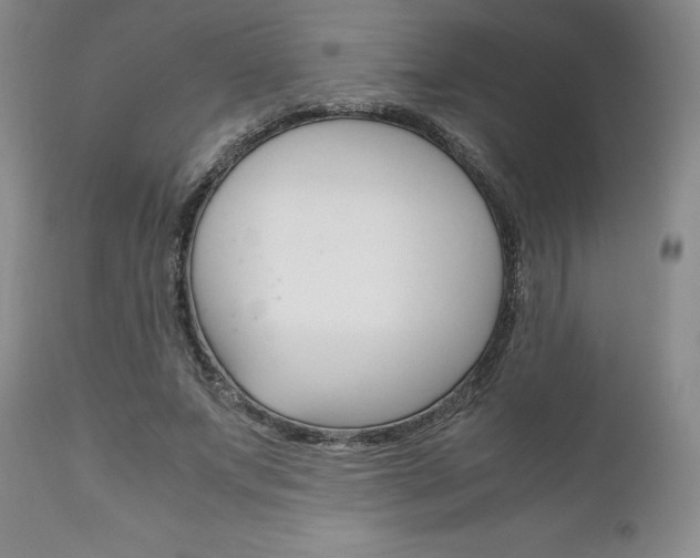 X0000111120687200906301042