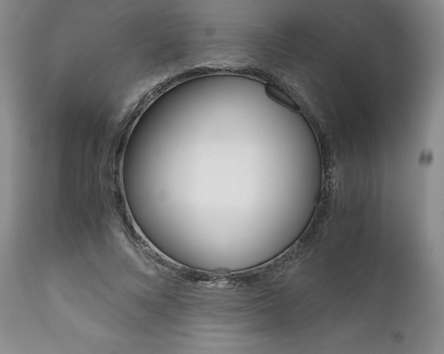 X0000111120688200906301042