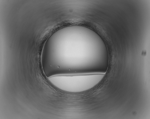 X0000111120689200906301042
