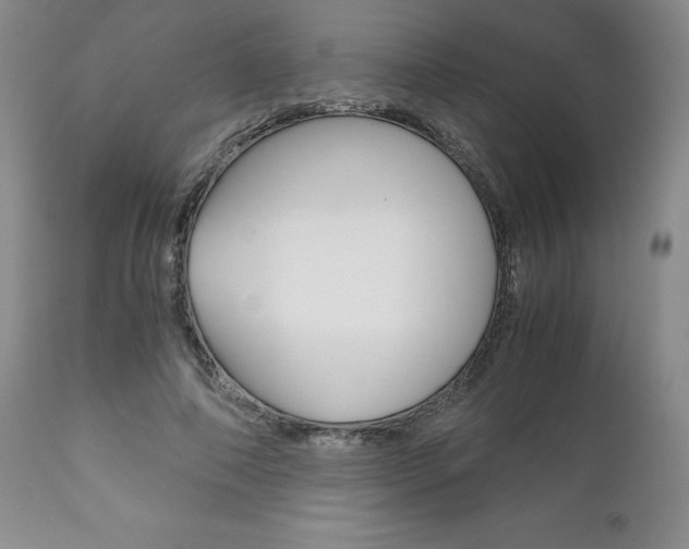 X0000111120690200906301042