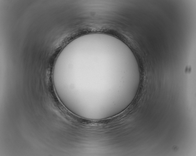 X0000111120691200906301042