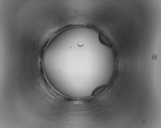 X0000111120692200906301042