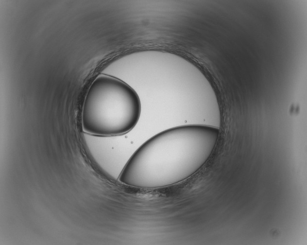 X0000111120693200906301042