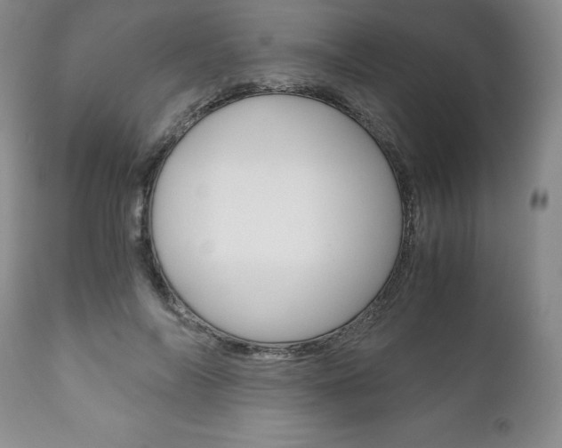 X0000111120694200906301042