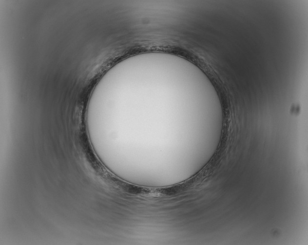 X0000111120695200906301042