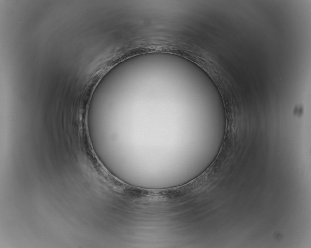 X0000111120696200906301042