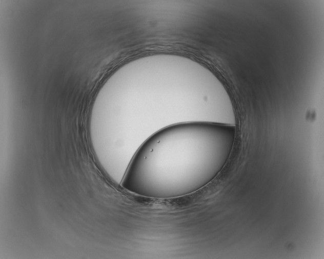 X0000111120697200906301042