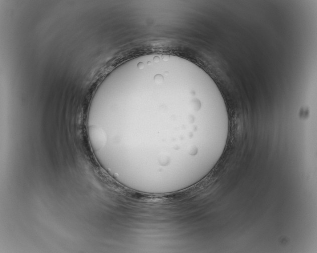 X0000111120698200906301042