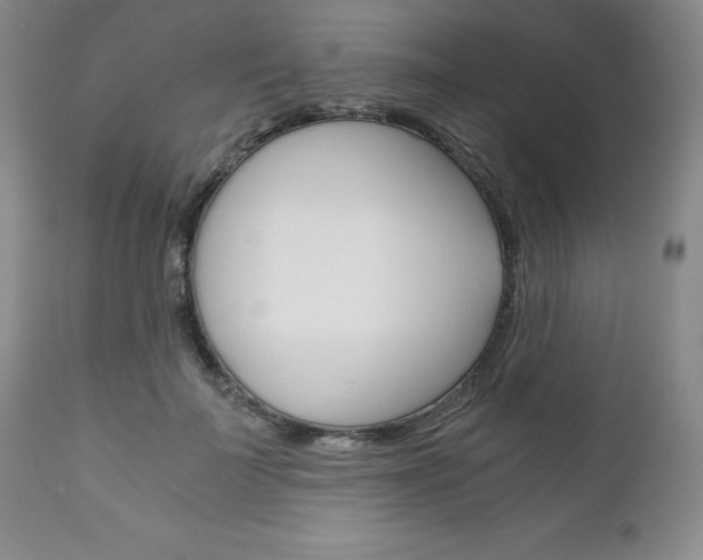 X0000111120699200906301042
