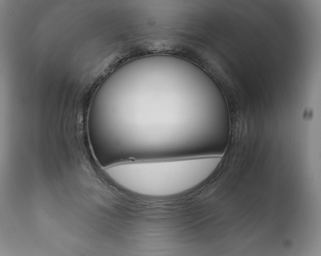 X0000111120700200906301042