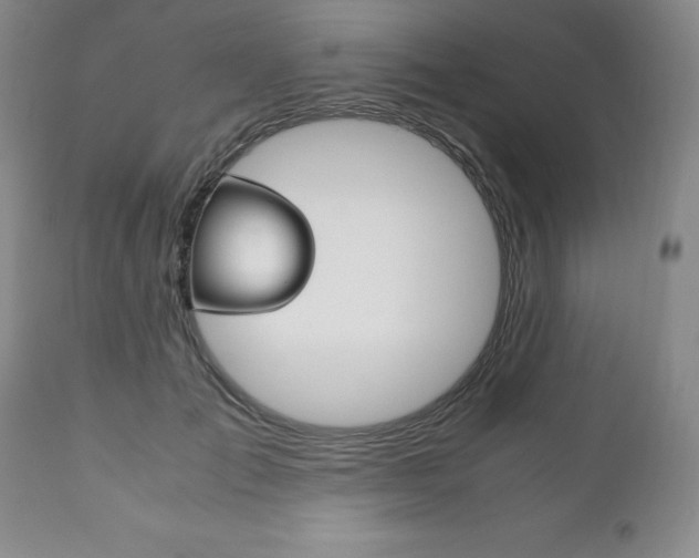 X0000111120701200906301042