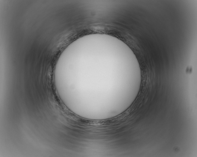 X0000111120702200906301042