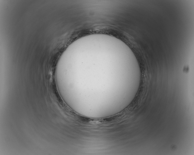 X0000111120703200906301042