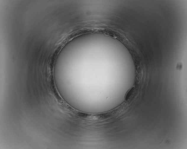 X0000111120704200906301042