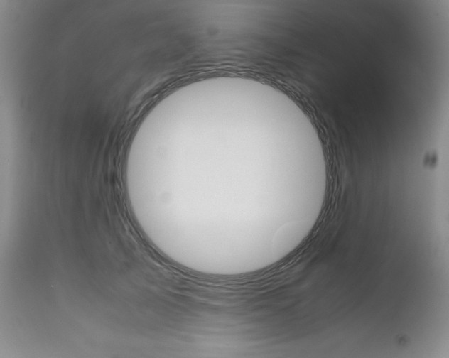 X0000111120705200906301042