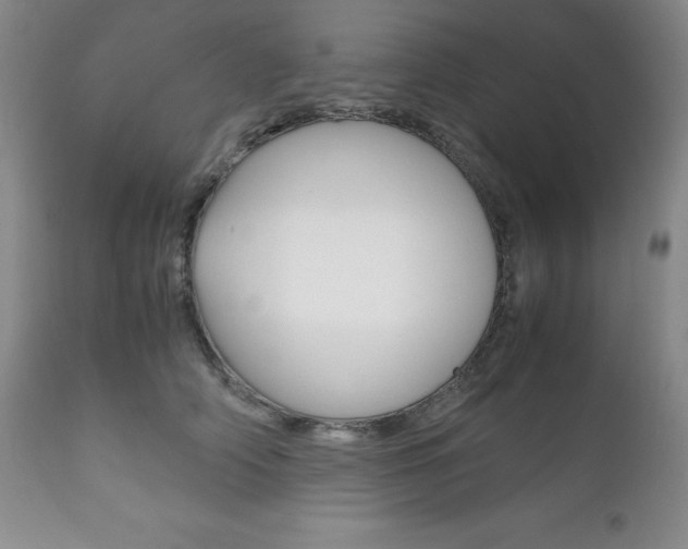X0000111120706200906301042
