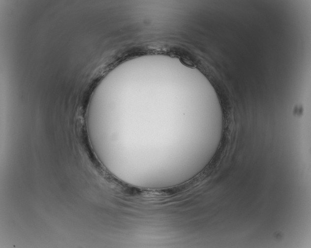 X0000111120707200906301042