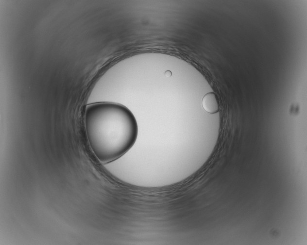 X0000111120708200906301042