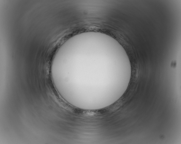 X0000111120710200906301042