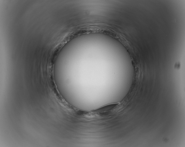 X0000111120712200906301042
