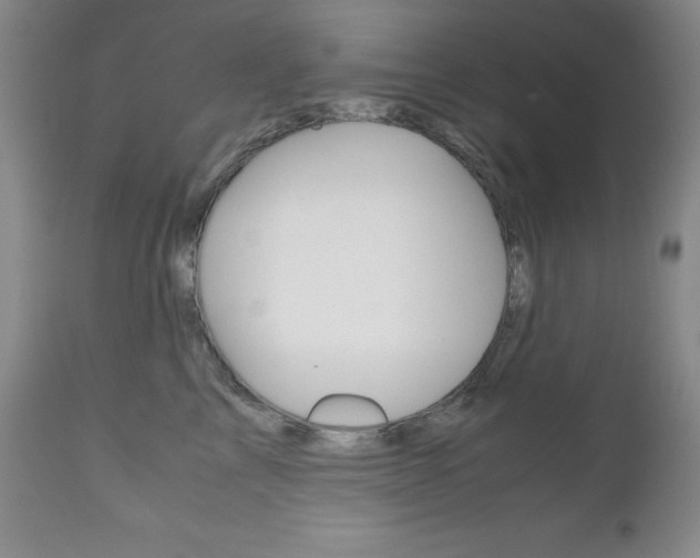 X0000111120713200906301042