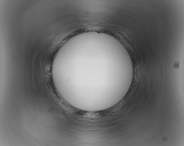 X0000111120714200906301042