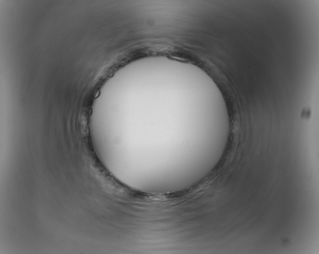 X0000111120715200906301042