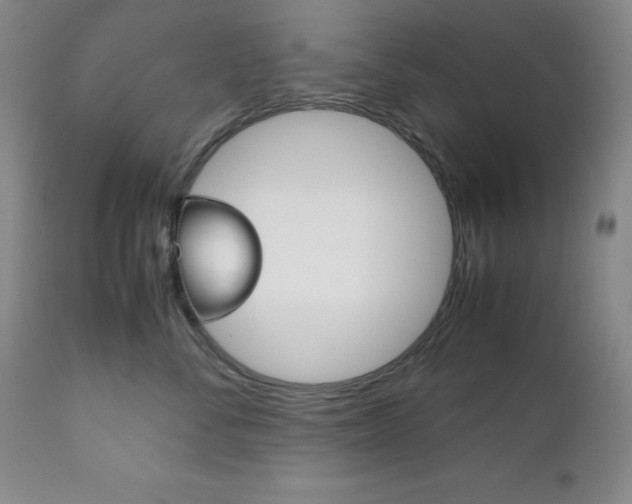 X0000111120716200906301042