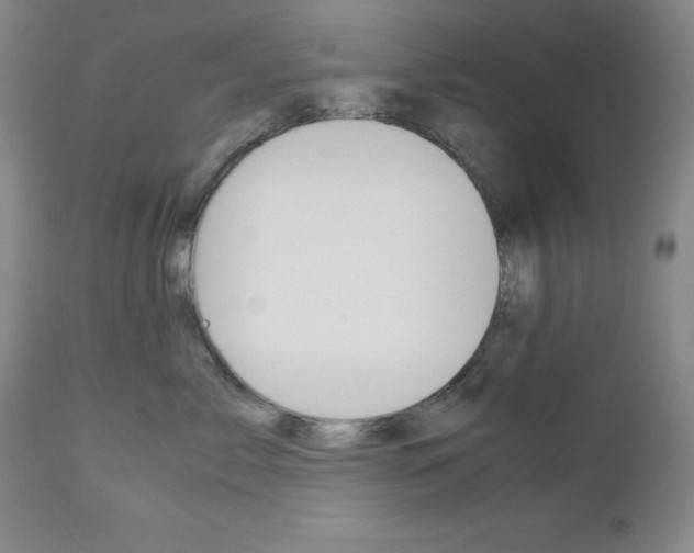 X0000111120717200906301042
