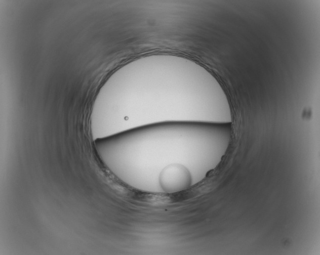X0000111120719200906301042