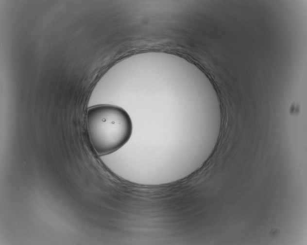 X0000111120720200906301042