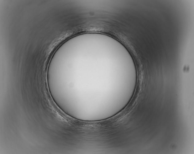 X0000111120721200906301041