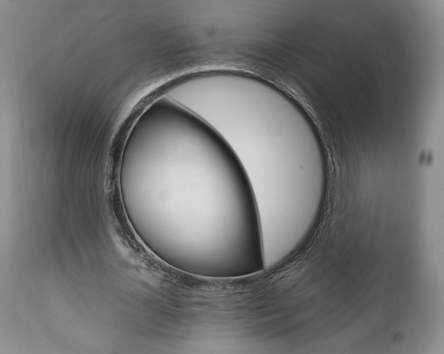 X0000111120724200906301041