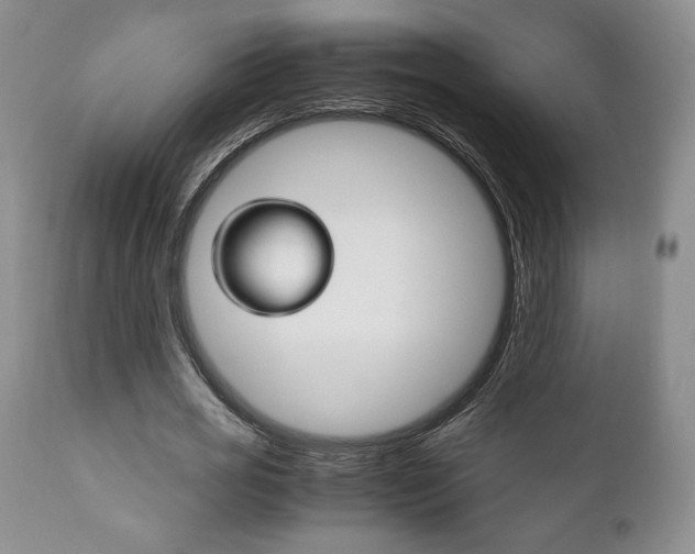 X0000111120725200906301041