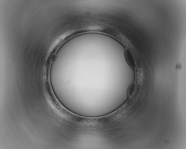 X0000111120726200906301041