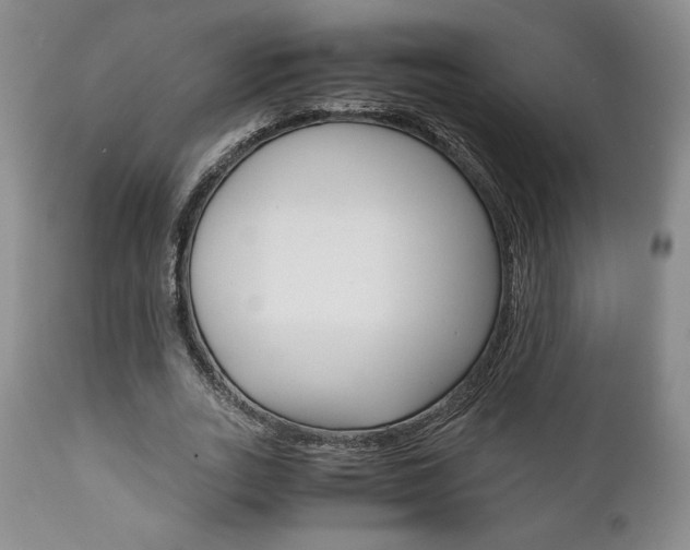 X0000111120727200906301041