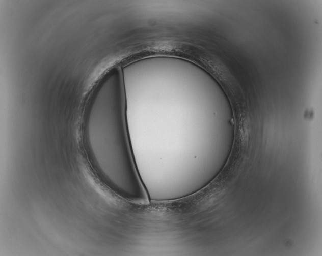 X0000111120728200906301041
