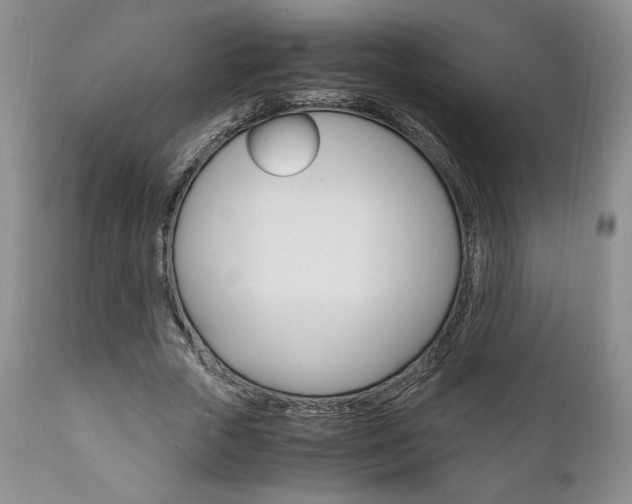 X0000111120729200906301041