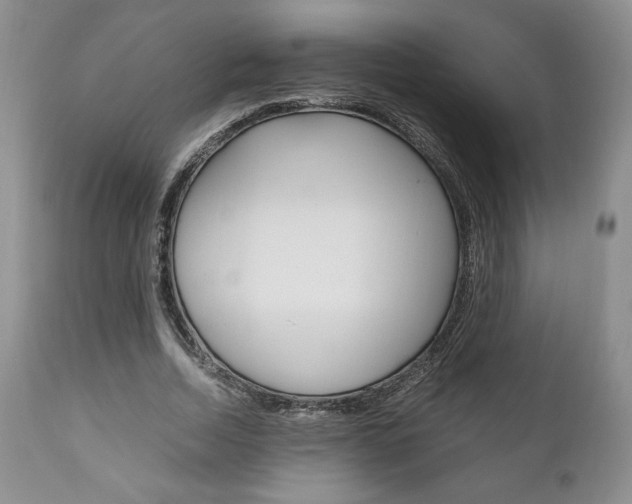 X0000111120730200906301041