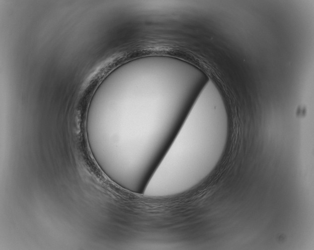X0000111120731200906301041