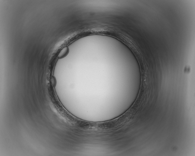 X0000111120732200906301041