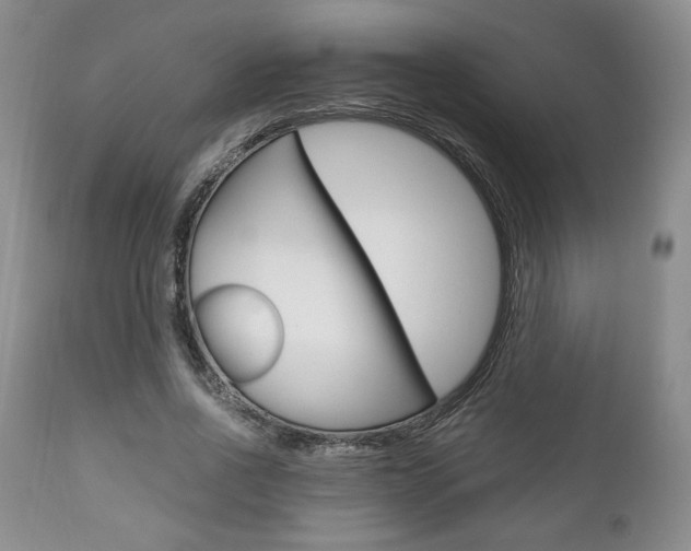 X0000111120734200906301041