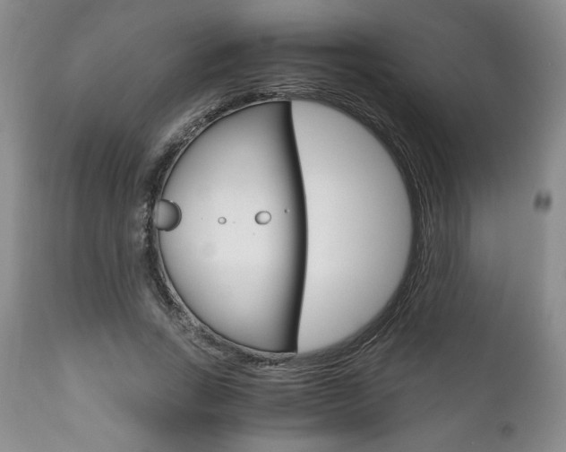 X0000111120735200906301041