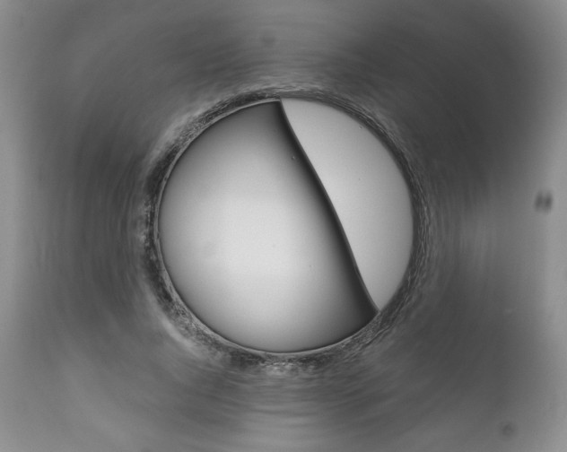 X0000111120736200906301041