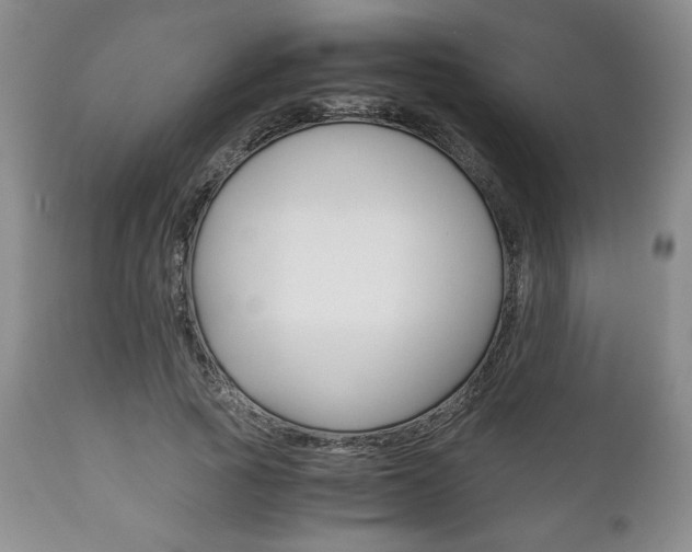 X0000111120737200906301041